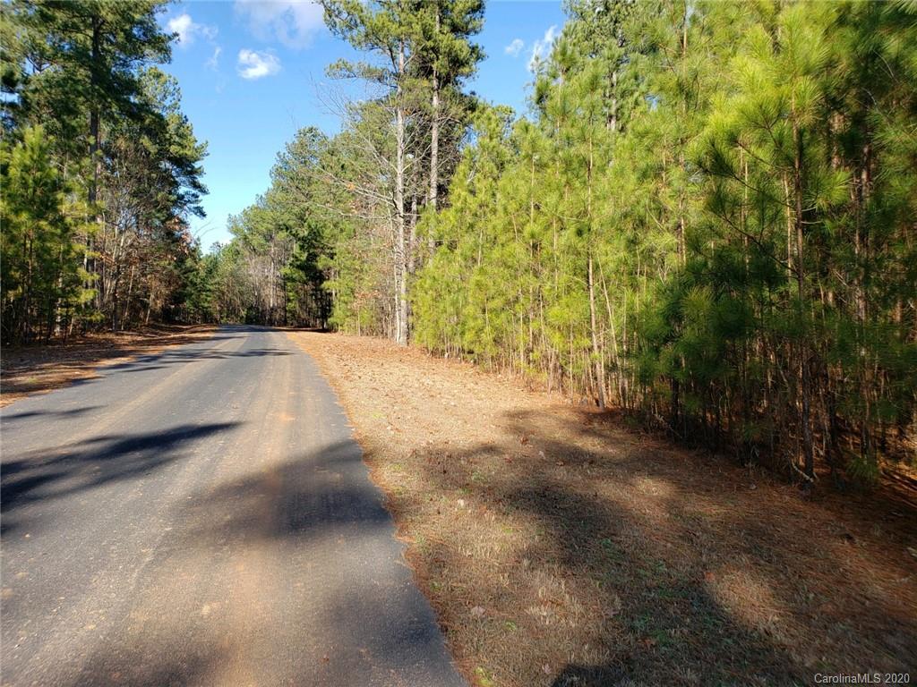 0 Loblolly Ln Mill Spring, Unit 22 Mill Spring, NC 28756 - Photo 13 of 14 a view of a yard with plants and trees