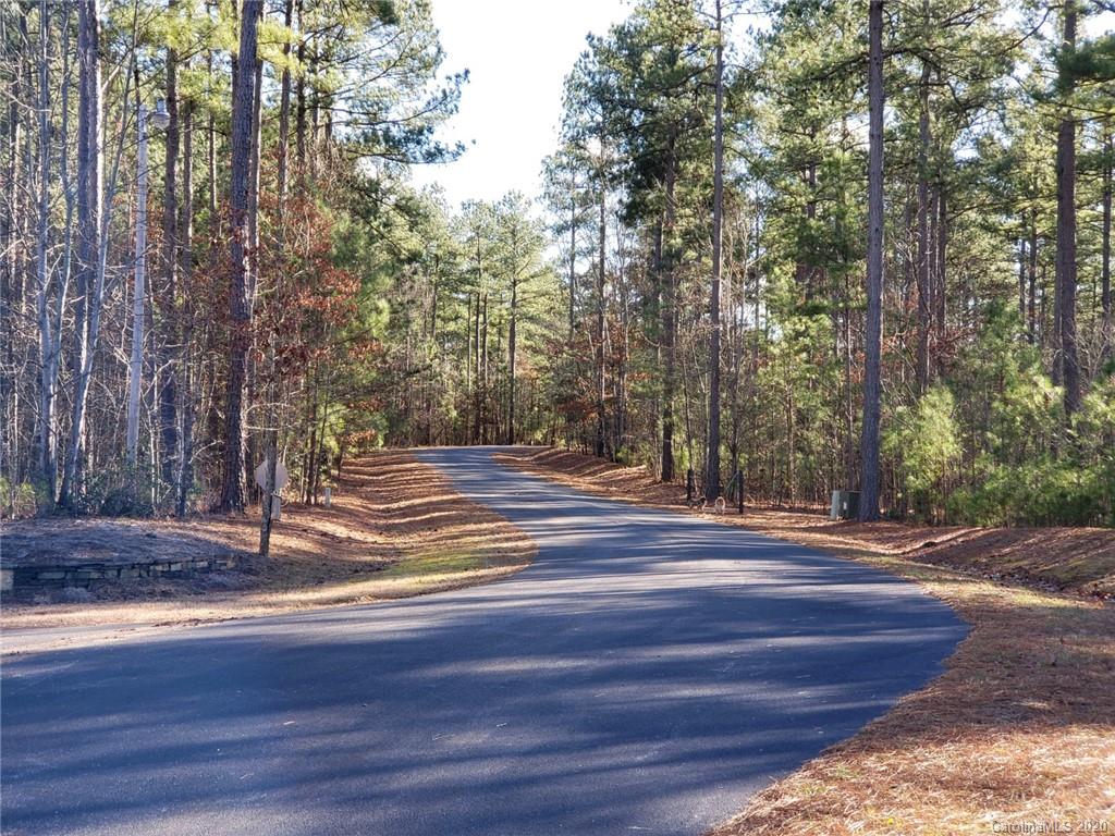 0 Loblolly Ln Mill Spring, Unit 22 Mill Spring, NC 28756 - Photo 4 of 14 a view of of trees