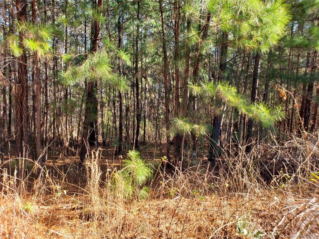 0 Loblolly Ln Mill Spring, Unit 22 Mill Spring, NC 28756 - Photo 5 of 14