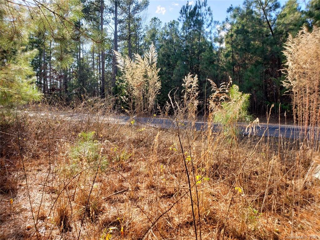 0 Loblolly Ln Mill Spring, Unit 22 Mill Spring, NC 28756 - Photo 9 of 14 a view of yard