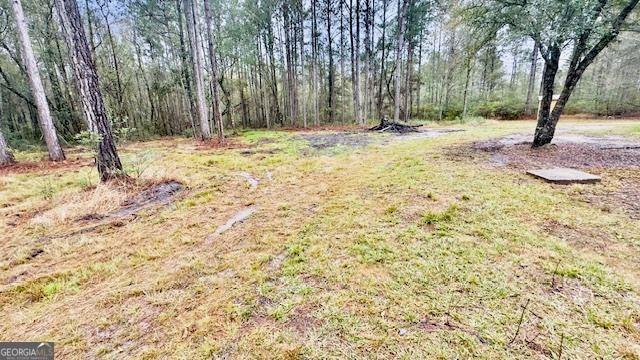 5926 Mill Branch Club Road Brooklet, GA 30415 - Photo 23 of 25