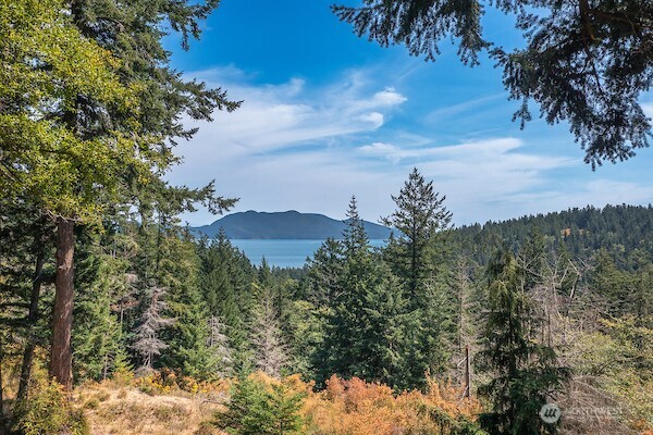 245 Roehl's Hill Road Orcas Island, WA 98279 - Photo 33 of 40 a view of a yard and mountain in the background