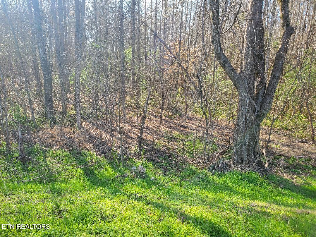 Lot 3 Highway 304 Decatur, TN 37322 - Photo 1 of 8 lot 3