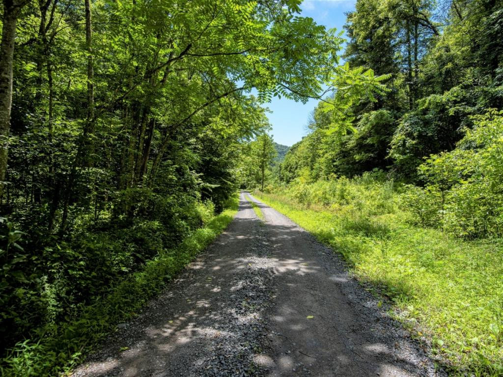 Tbd Grindstone Branch Road Bristol, VA 24202 - Photo 1 of 7 Photo 1