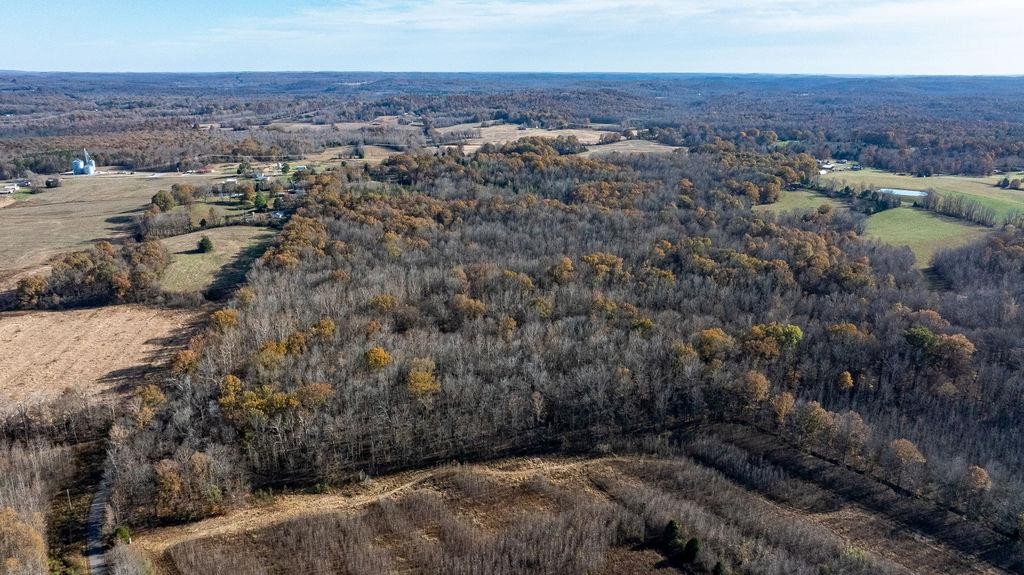 6301 Rochester Road Drakesboro, KY 42337 - Photo 5 of 8