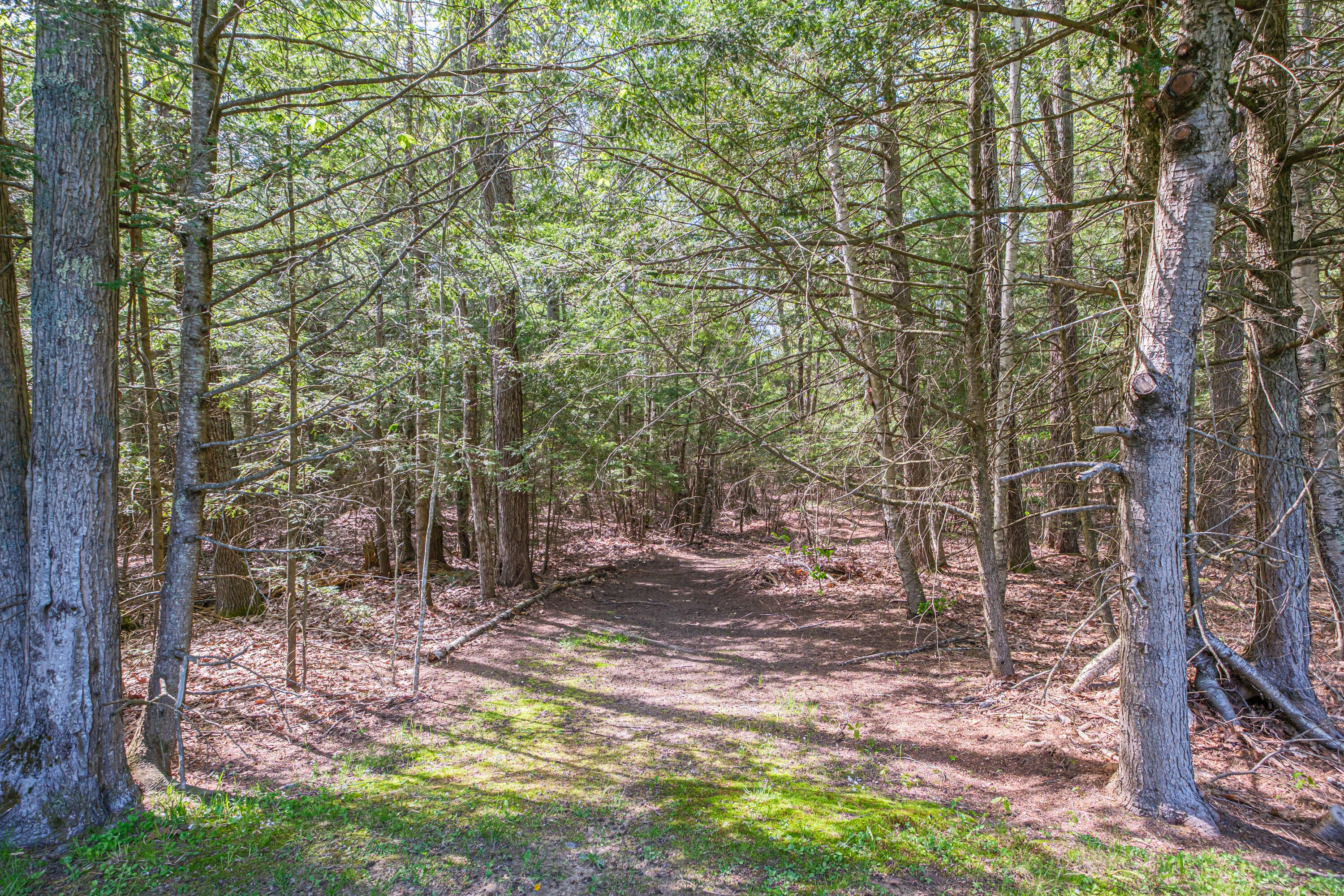 9 Laurel Ridge Road Scarborough, ME 04074 - Photo 61 of 61 20260518gp-63096