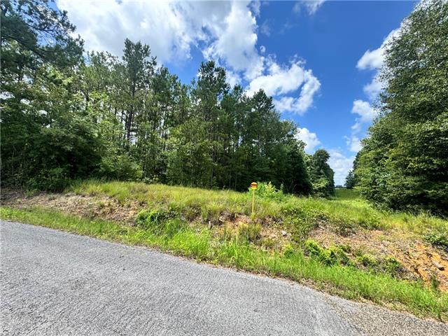 72045 South Lewiston Road Kentwood, LA 70444 - Photo 17 of 17