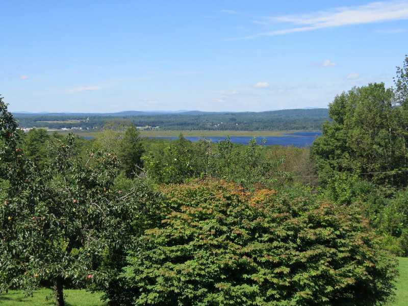 760 Pond Road Sidney, ME 04330 - Photo 28 of 34 View. and one of the apple trees in...