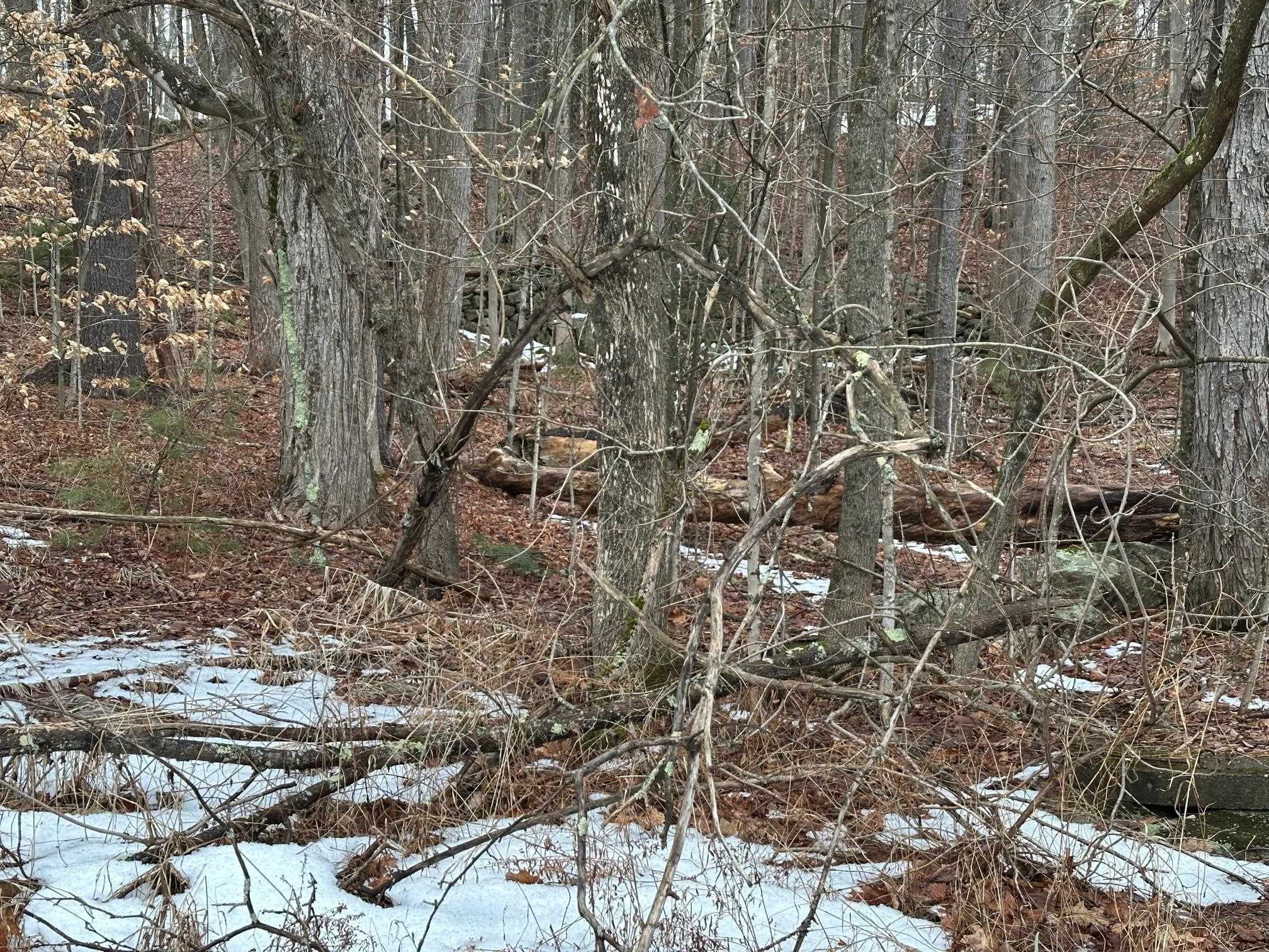 119 New Hampshire Route Rindge, NH 03461 - Photo 11 of 11