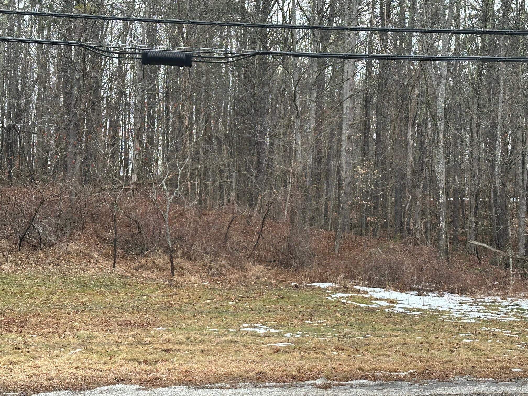 119 New Hampshire Route Rindge, NH 03461 - Photo 2 of 11