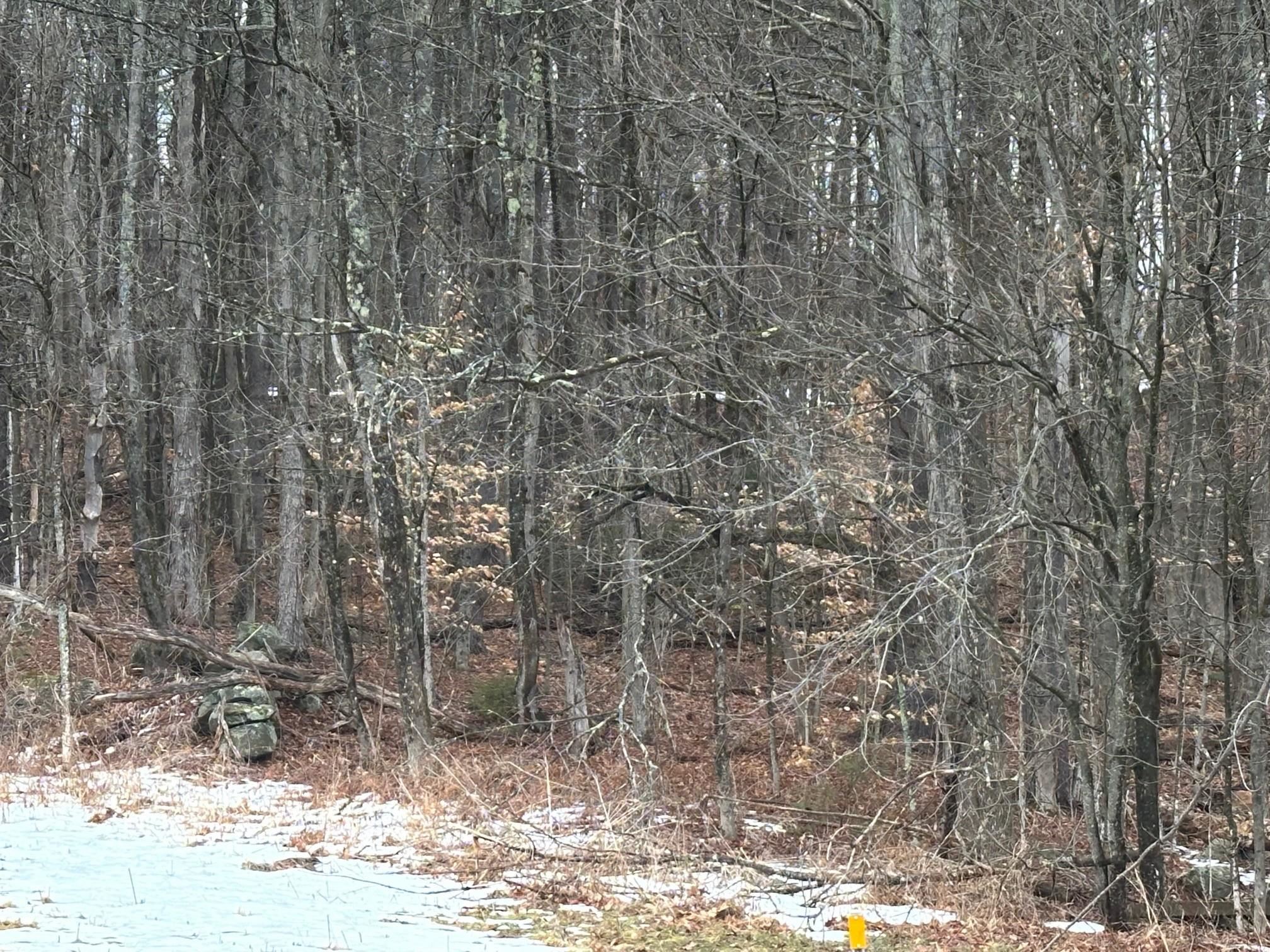 119 New Hampshire Route Rindge, NH 03461 - Photo 3 of 11