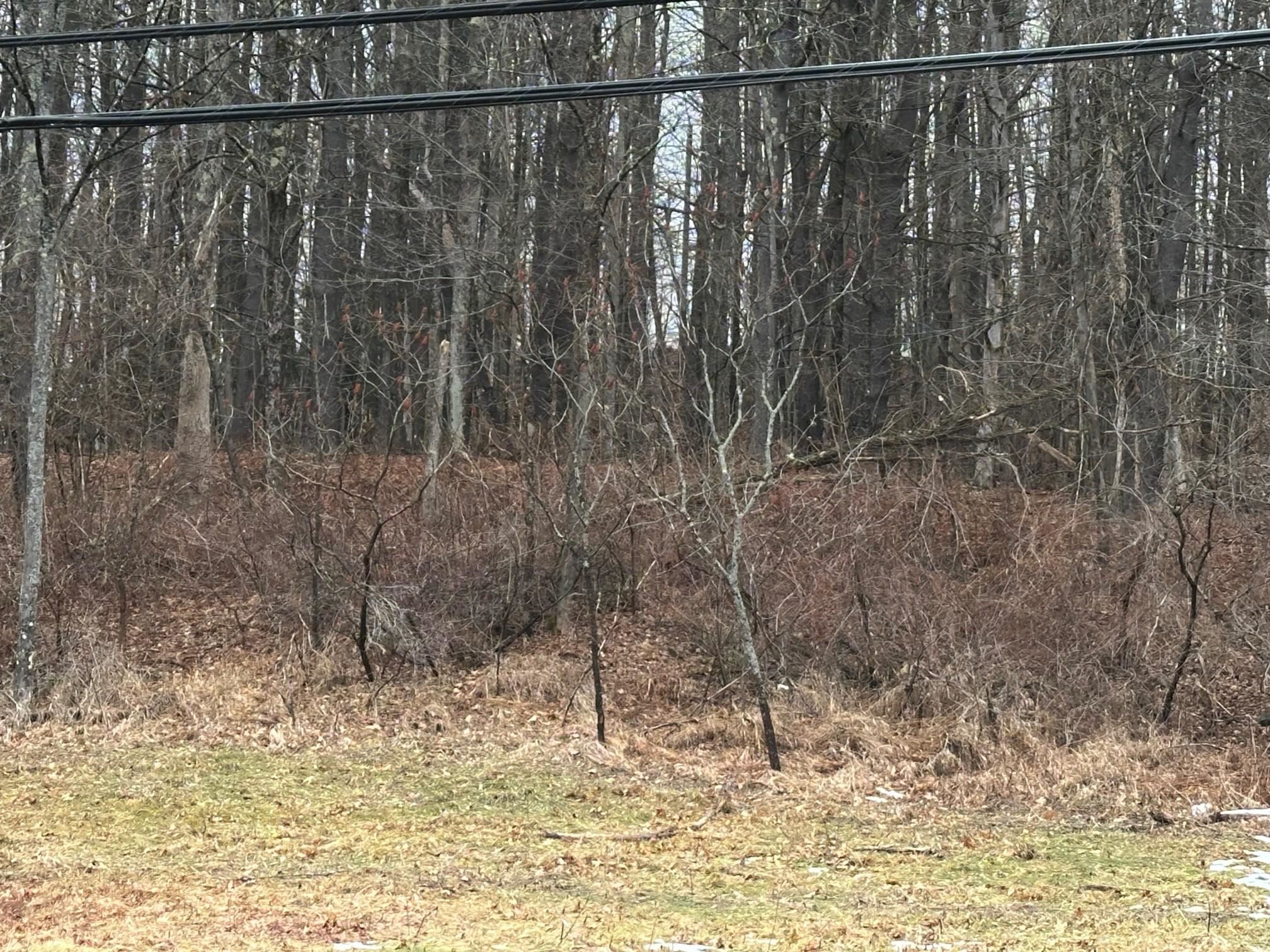 119 New Hampshire Route Rindge, NH 03461 - Photo 4 of 11