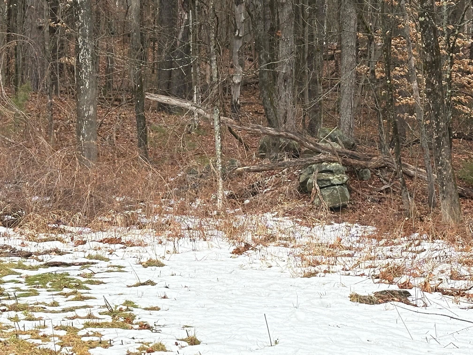 119 New Hampshire Route Rindge, NH 03461 - Photo 5 of 11