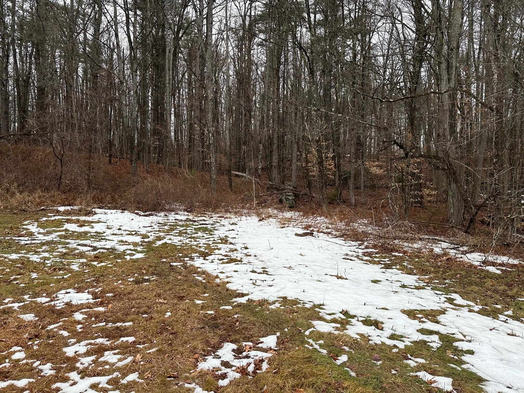 119 New Hampshire Route Rindge, NH 03461 - Photo 6 of 11