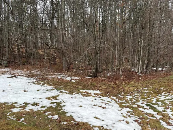 $65,000 | 119 New Hampshire Route, Rindge, NH 03461