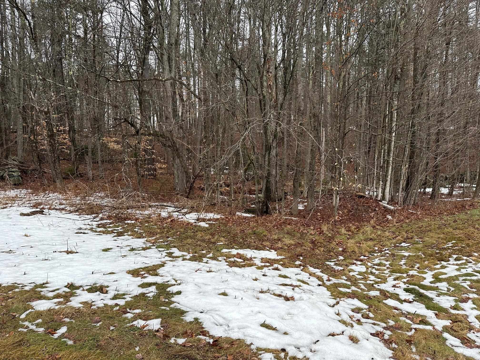119 New Hampshire Route Rindge, NH 03461 - Photo 7 of 11