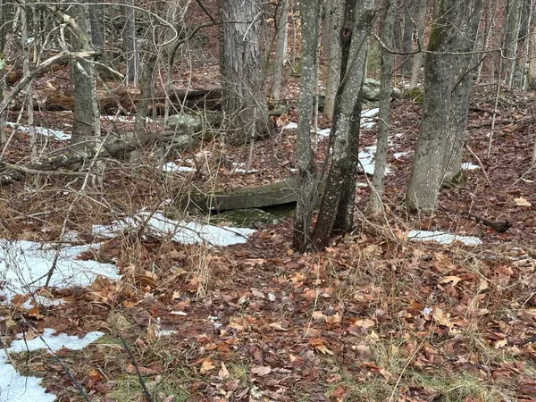 $65,000 | 119 New Hampshire Route, Rindge, NH 03461