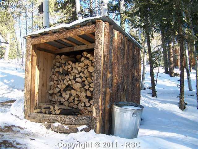 345 Kutsu Ridge Road Florissant, CO 80816 - Photo 15 of 16