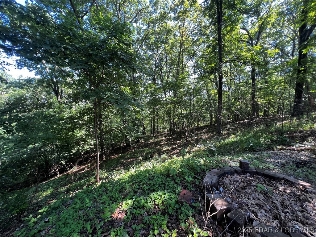 1509 Oak Bend Road Northeast Sunrise Beach, MO 65079 - Photo 30 of 32