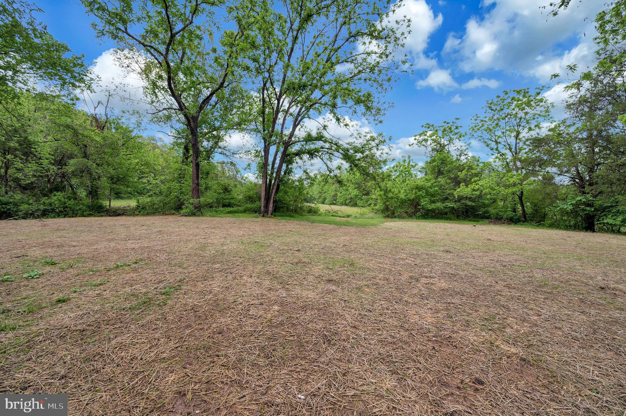 14169 Silver Hill Road Sumerduck, VA 22742 - Photo 30 of 40 a view of a yard with a tree