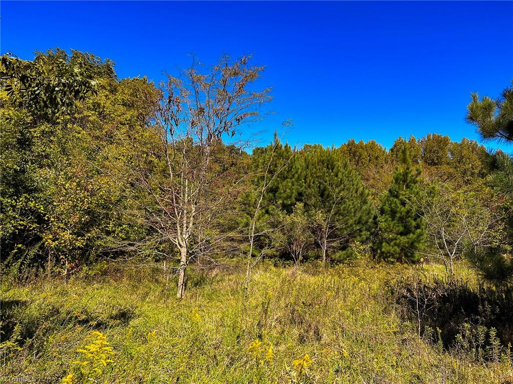 0 Walker Road Elon, NC 27244 - Photo 4 of 28