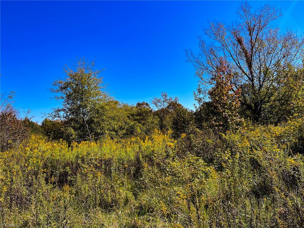 0 Walker Road Elon, NC 27244 - Photo 5 of 28