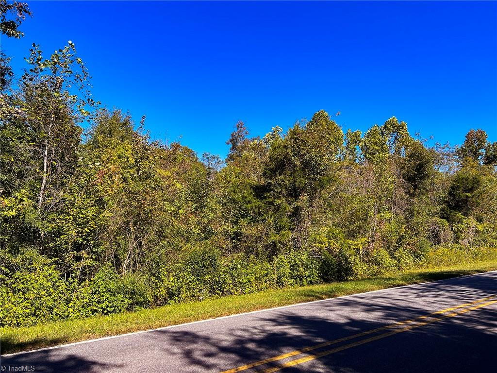 0 Walker Road Elon, NC 27244 - Photo 8 of 28