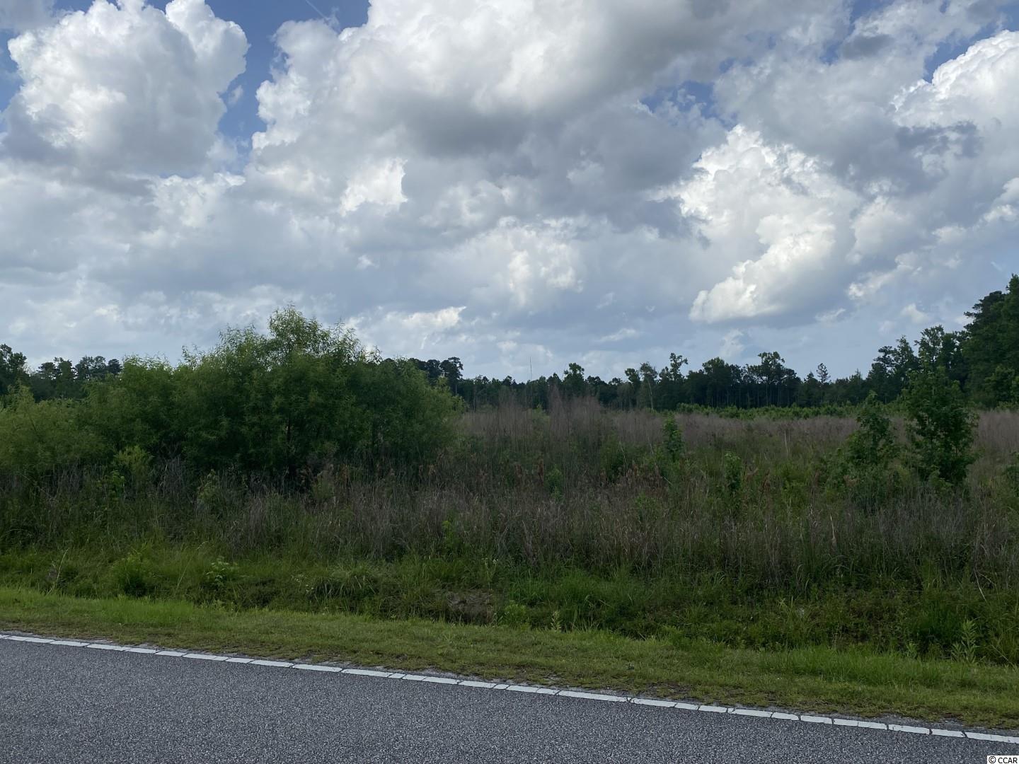 Lot 3 Berley Mc Road Conway, SC 29526 - Photo 3 of 5 Gallery Image 3