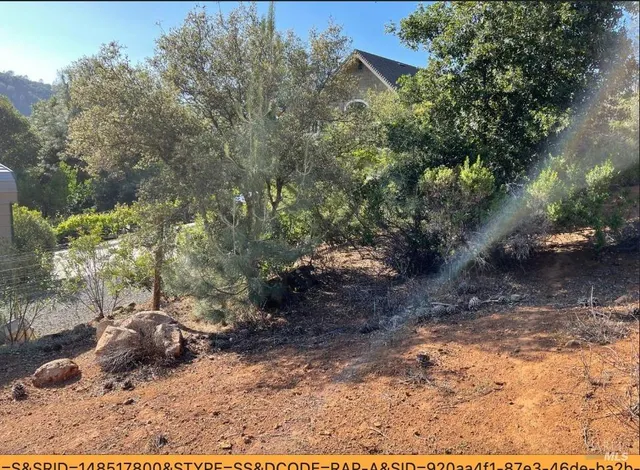 a view of outdoor space and yard