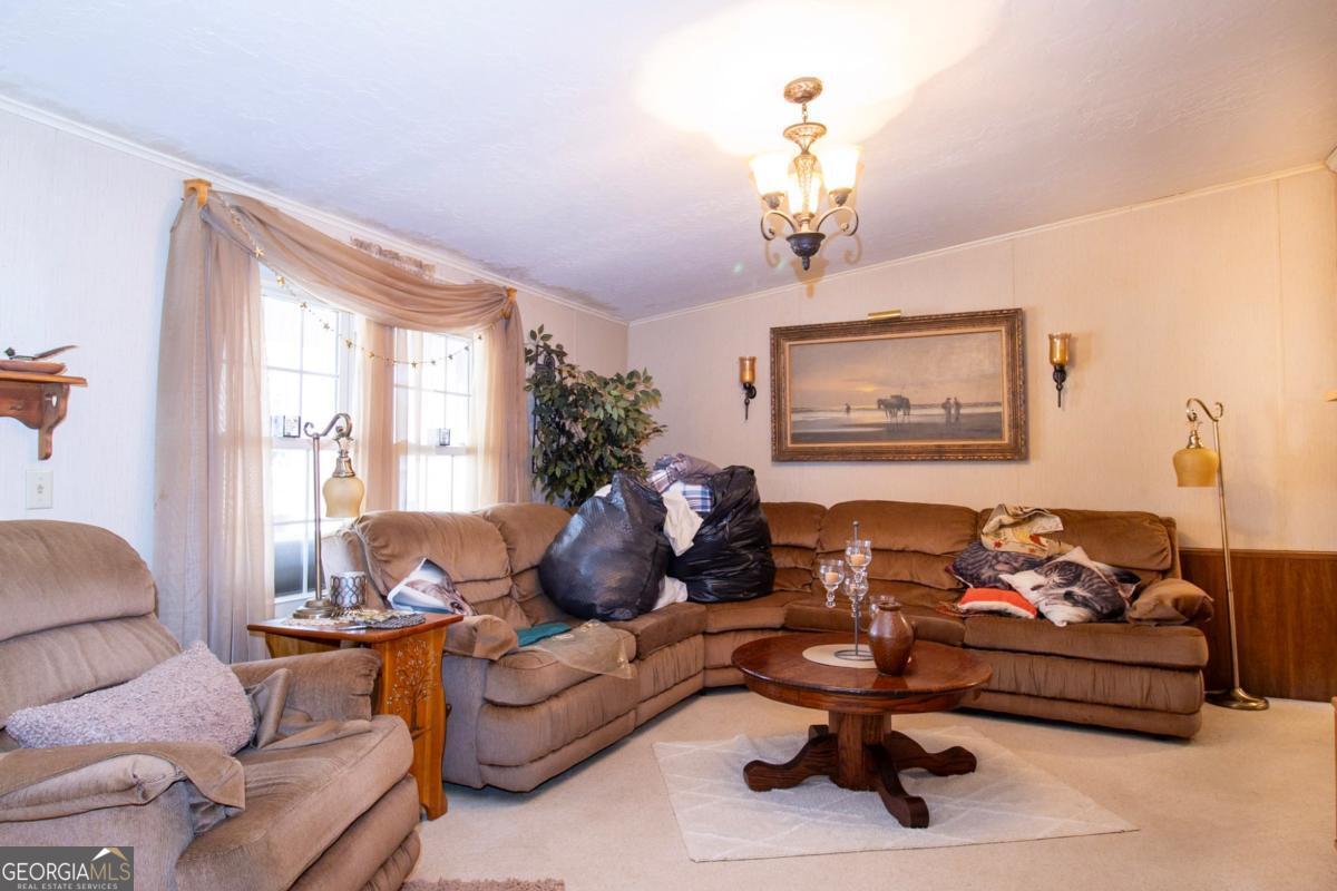 217 Broad River Road Carlton, GA 30627 - Photo 20 of 39