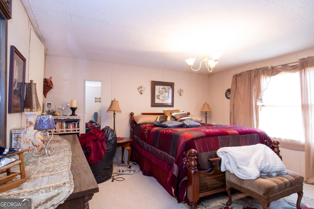 217 Broad River Road Carlton, GA 30627 - Photo 25 of 39