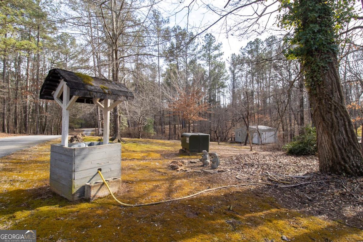 217 Broad River Road Carlton, GA 30627 - Photo 37 of 39