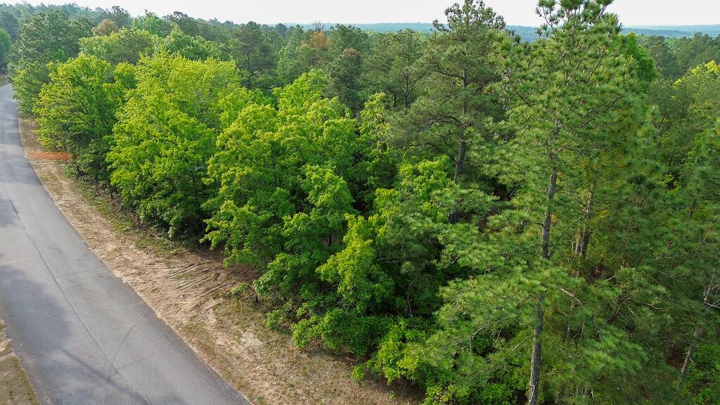0 Mt Zion Road, Unit 5 Trenton, SC 29847 - Photo 20 of 26
