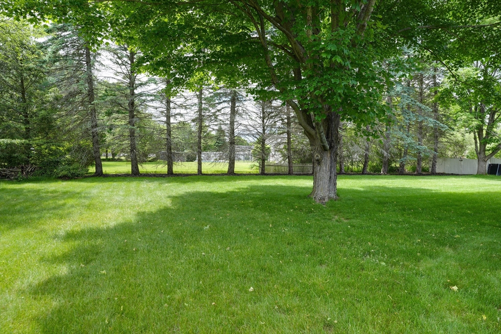 15 Lanthorn Road Northborough, MA 01532 - Photo 3 of 37 a view of a trees with a big yard