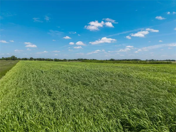a view of a big yard of a house with a yard and outdoor seating
