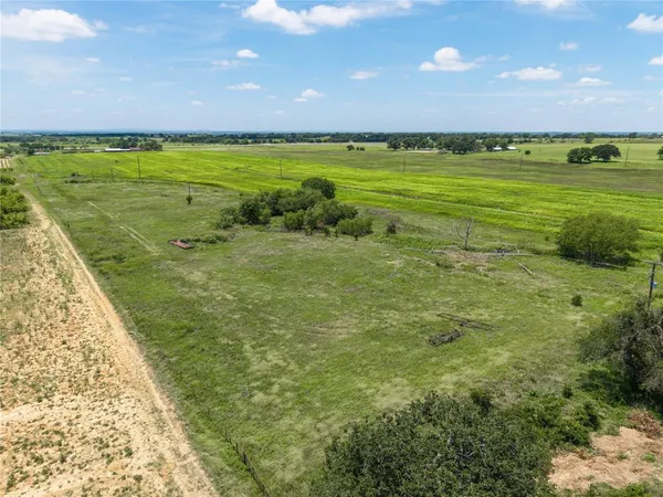 a view of a lush green space