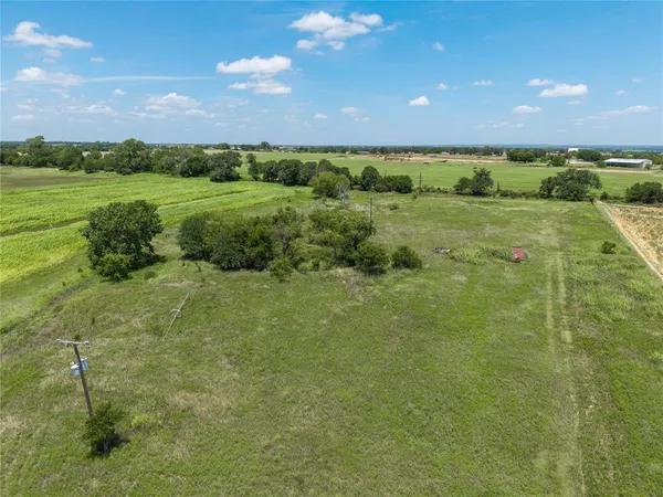 a view of a lush green outdoor space with a sink