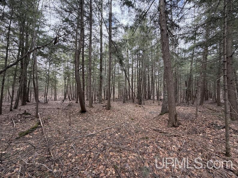 Tbd K Road Bark River, MI 49807 - Photo 3 of 8