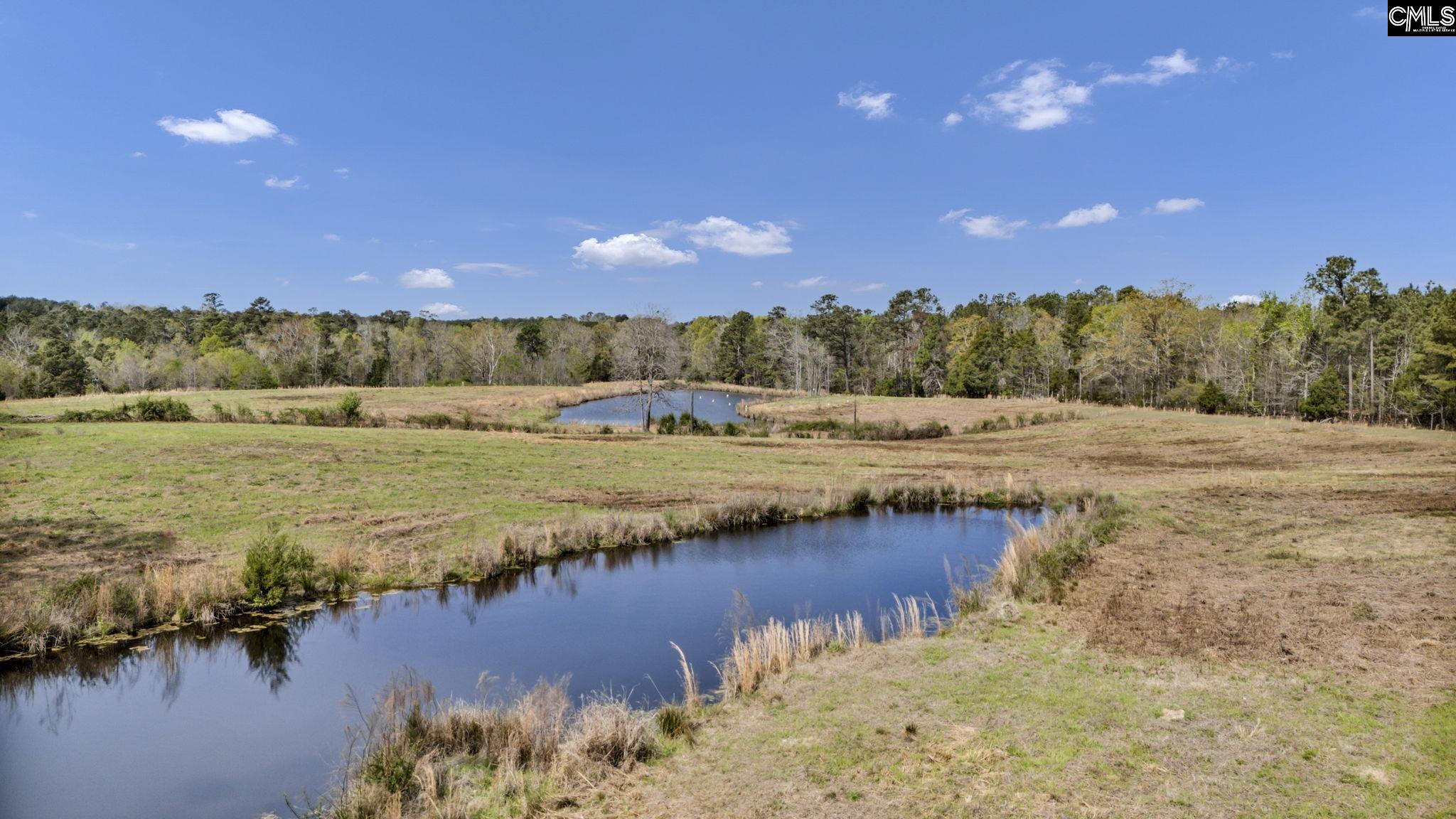 421-0 Shore Road Gilbert, SC 29054 - Photo 8 of 57