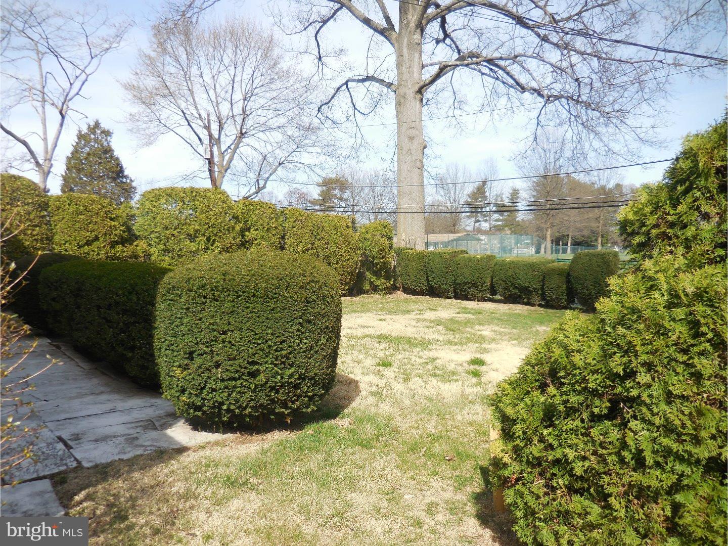 313 Canterbury Road Havertown, PA 19083 - Photo 4 of 24 Exterior Back
