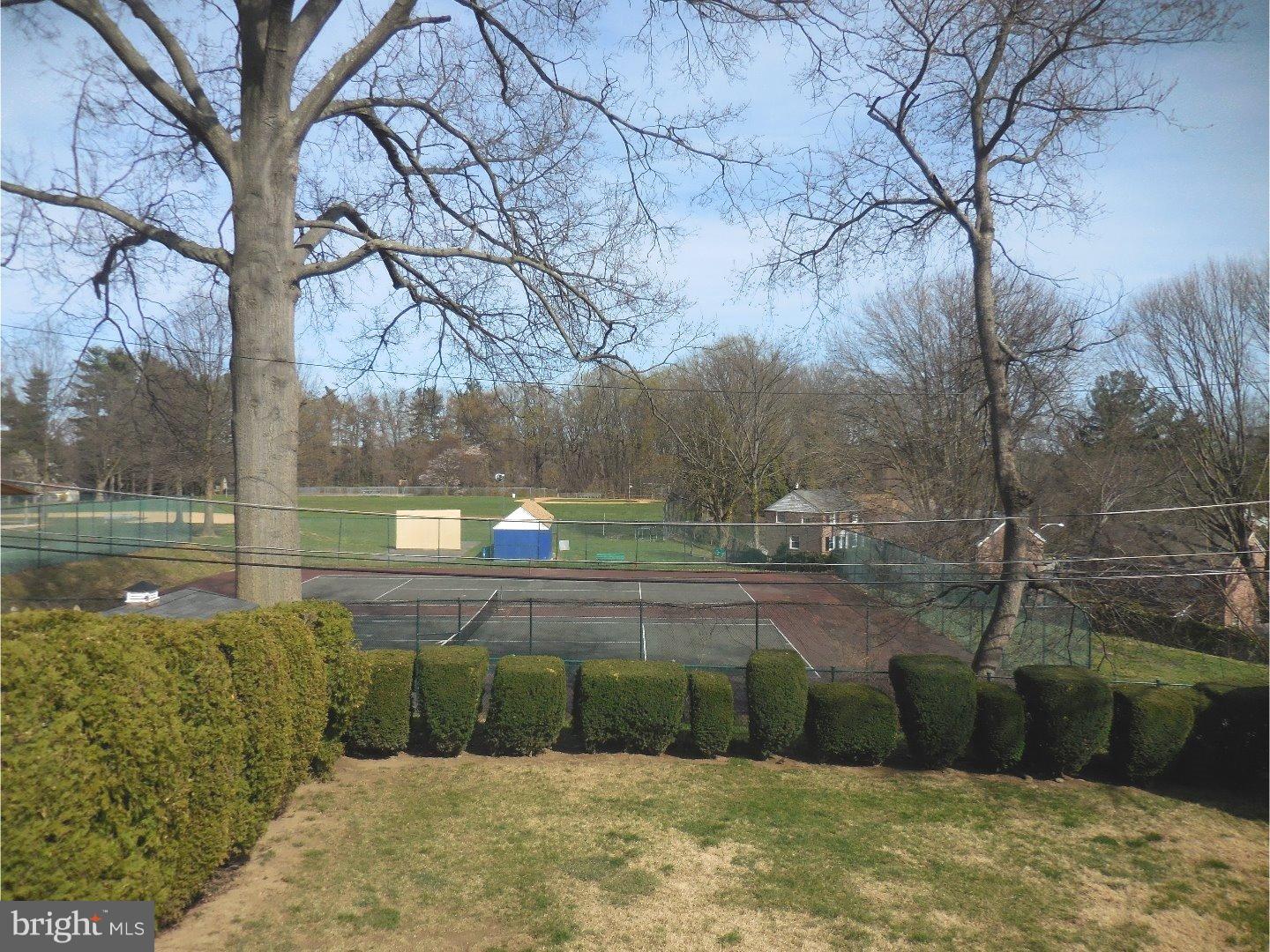 313 Canterbury Road Havertown, PA 19083 - Photo 6 of 24 View in Back