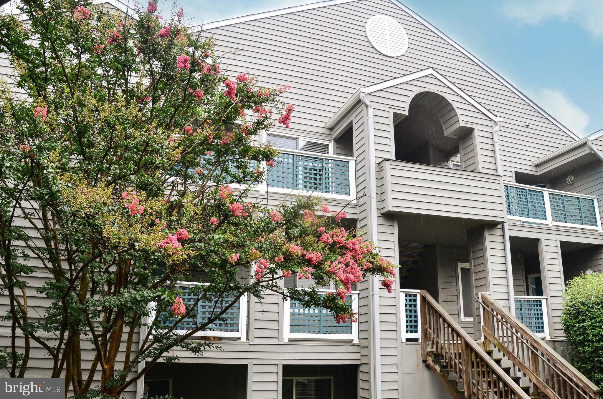 1500 Summerchase Court, Unit 1500E Reston, VA 20194 - Photo 24 of 26 Top floor Unit