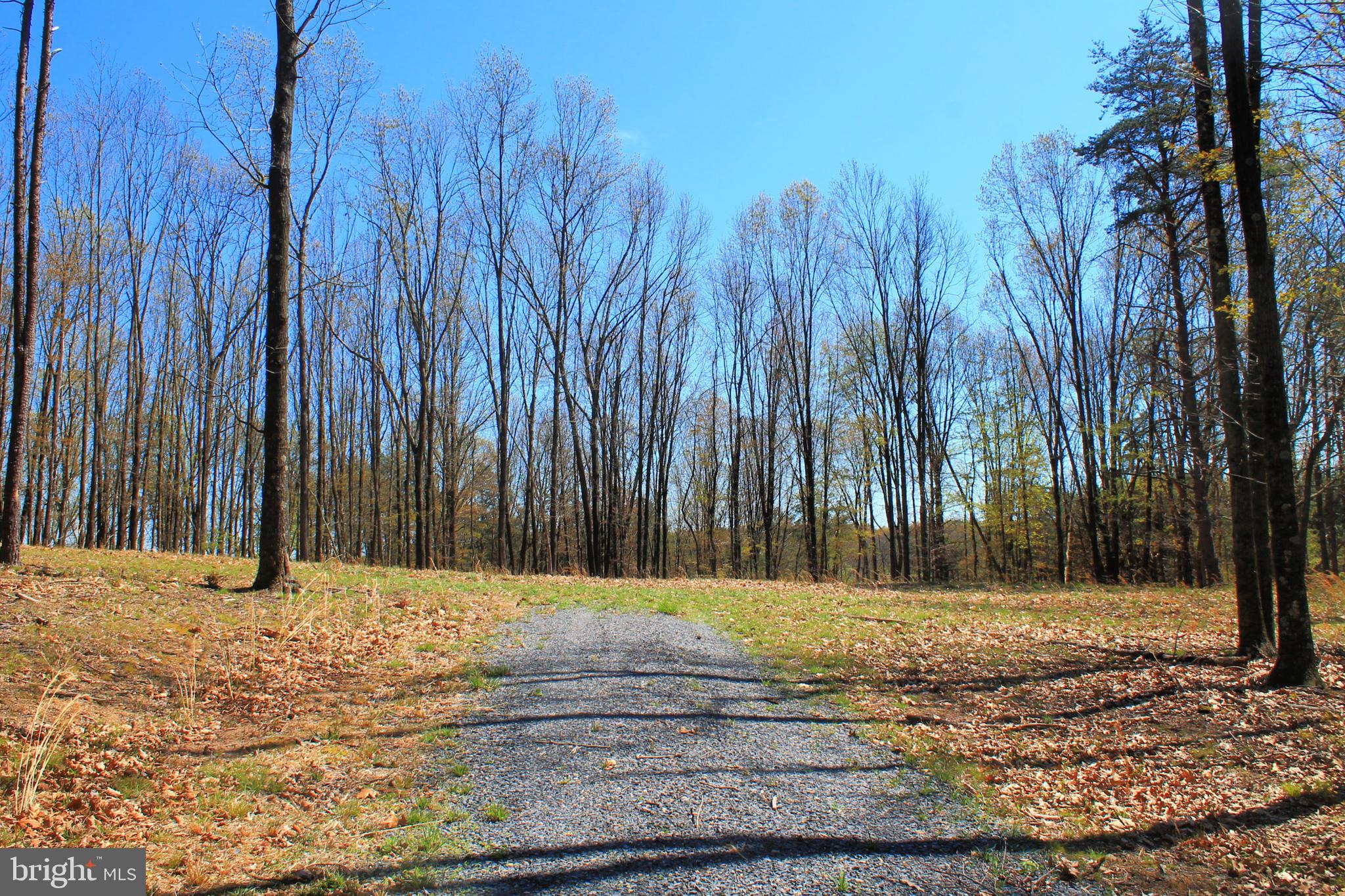 0 Siler Road Winchester, VA 22603 - Photo 1 of 25 Build your dream home in this beautiful clearing!