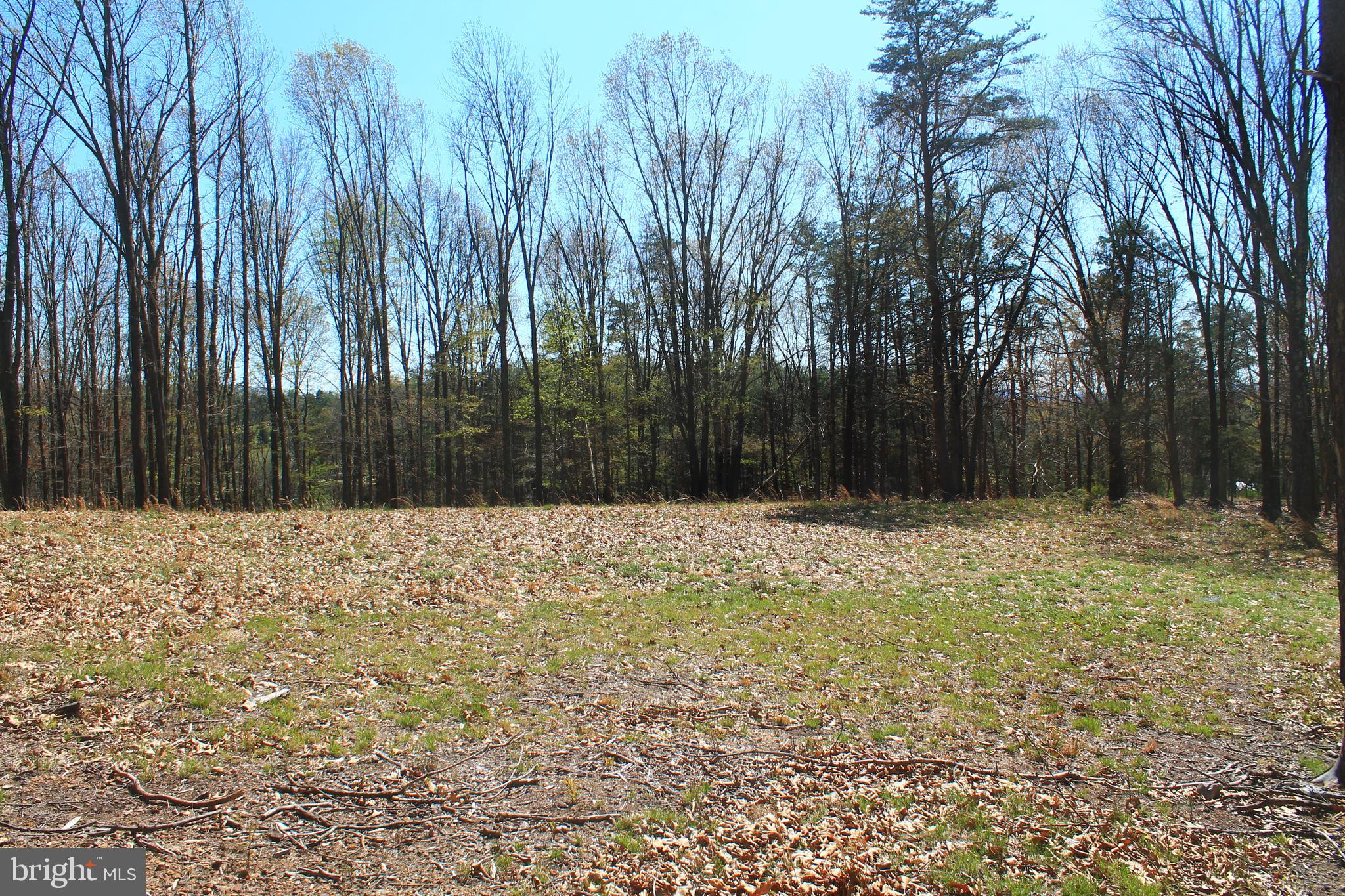 0 Siler Road Winchester, VA 22603 - Photo 22 of 25 Plenty of space for your dream home!