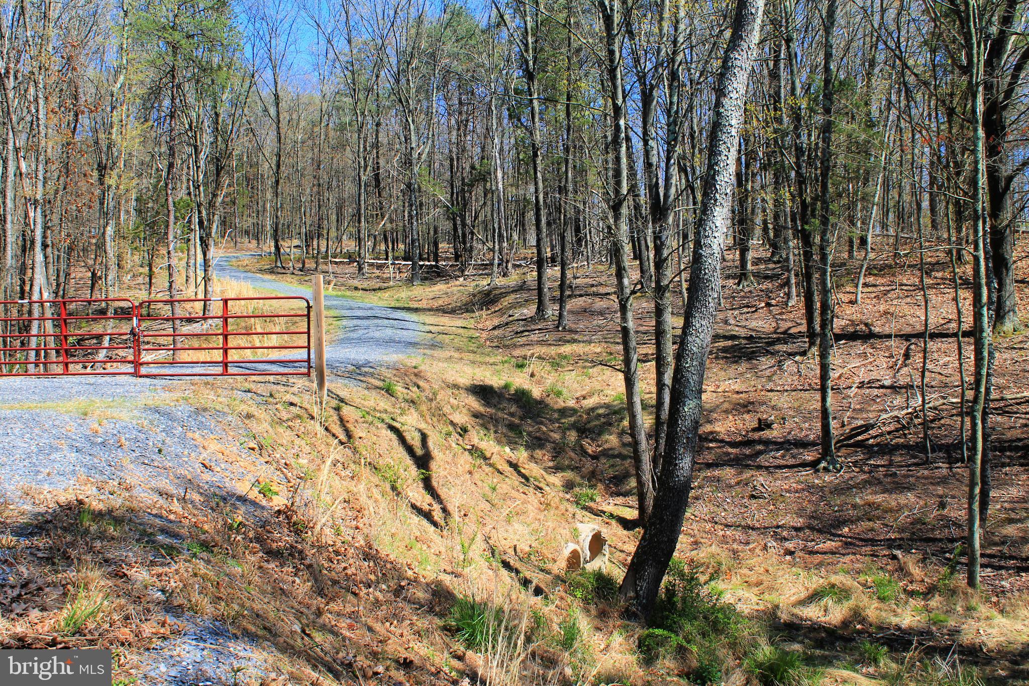 0 Siler Road Winchester, VA 22603 - Photo 4 of 25 Driveway is built right!