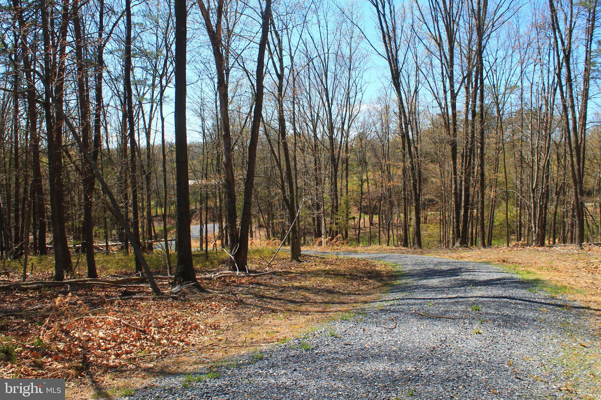 0 Siler Road Winchester, VA 22603 - Photo 5 of 25 View from top of driveway down to road