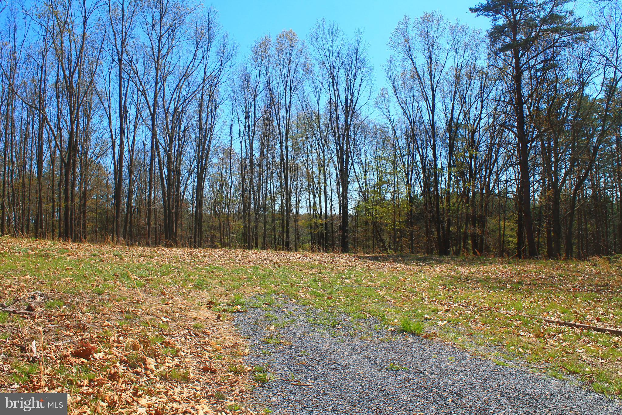 0 Siler Road Winchester, VA 22603 - Photo 7 of 25 Ready for your dream home to be built