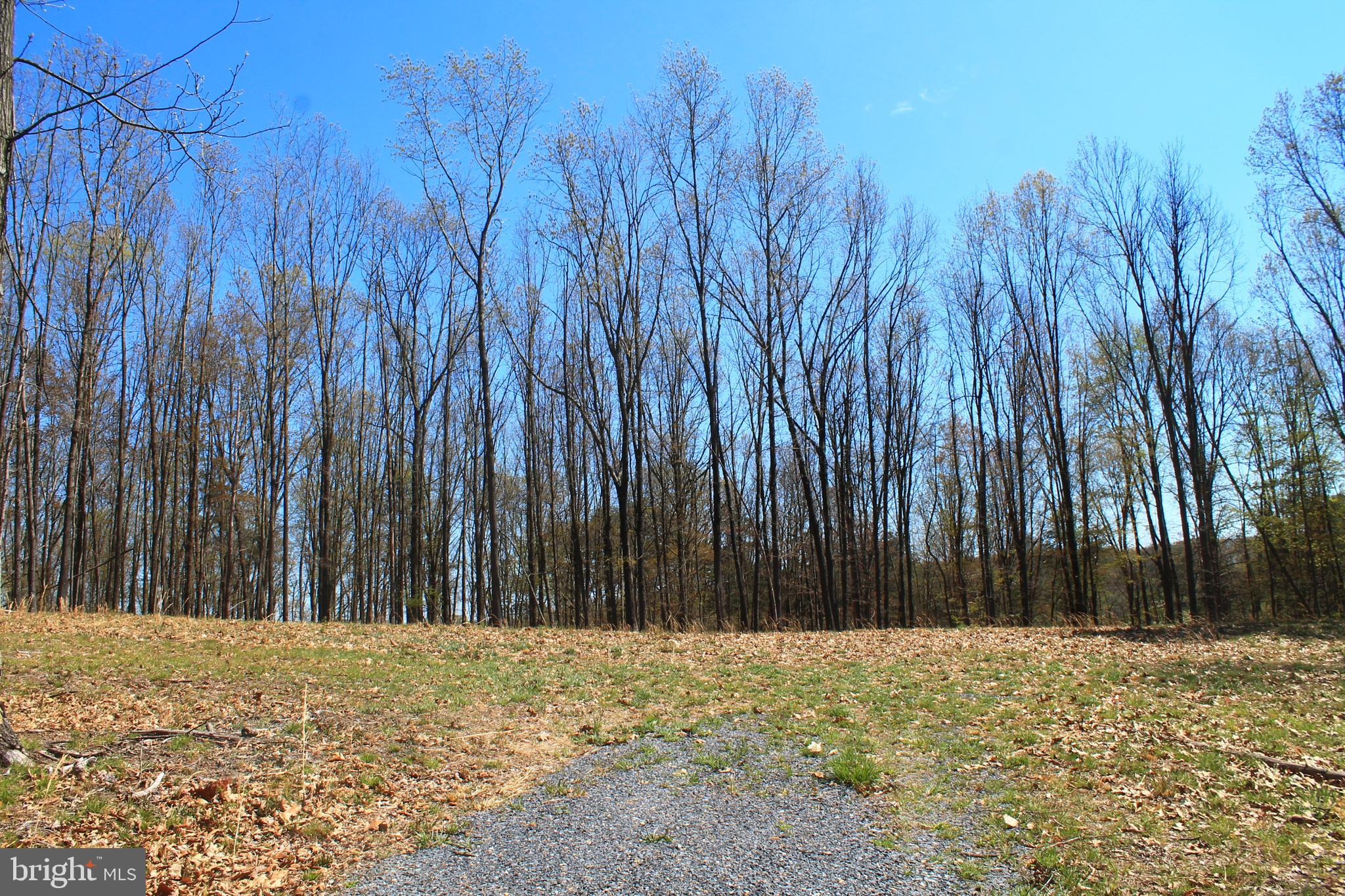 0 Siler Road Winchester, VA 22603 - Photo 8 of 25 Beautiful views!