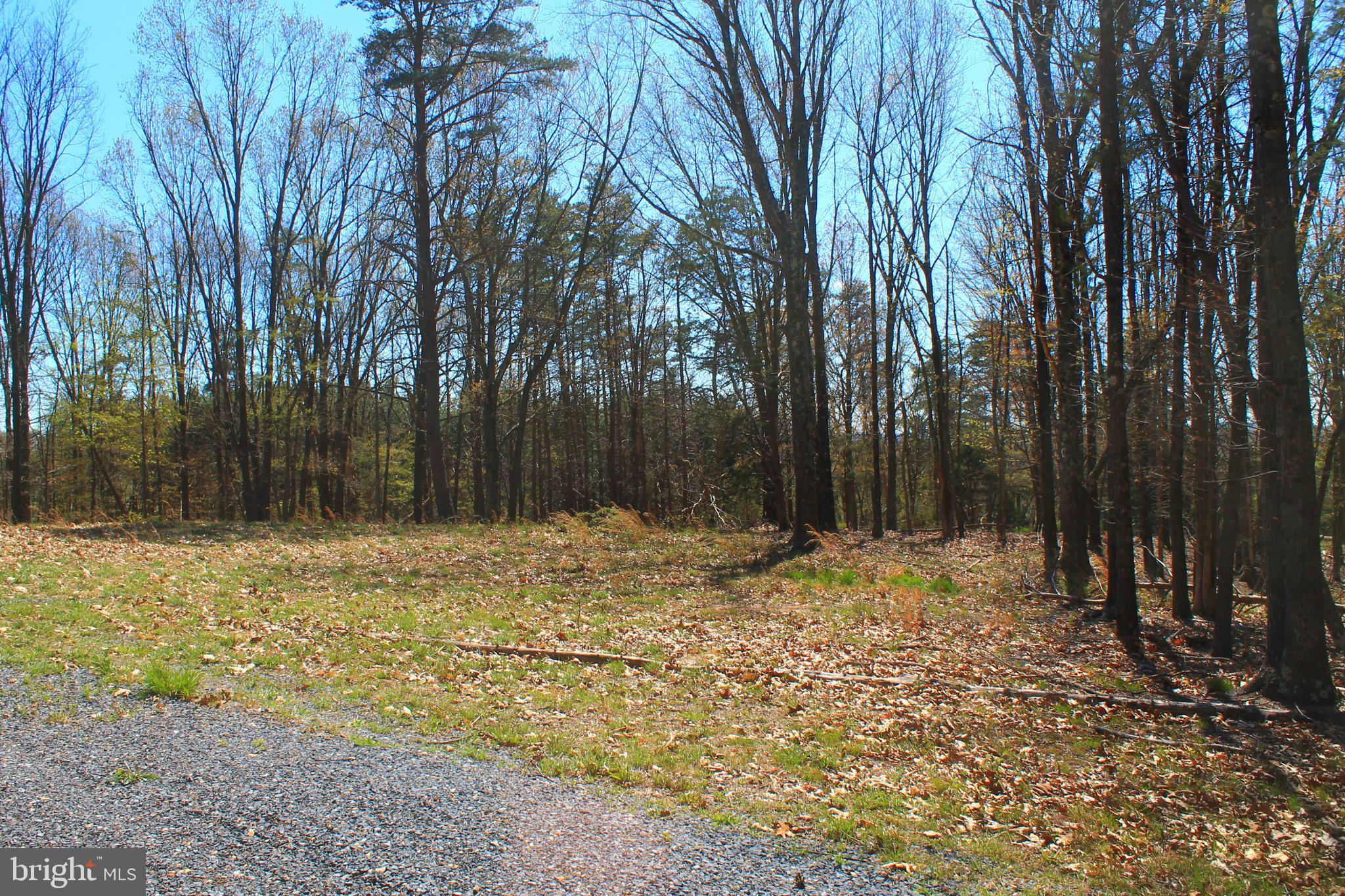 0 Siler Road Winchester, VA 22603 - Photo 9 of 25 To the right of the driveway at clearing