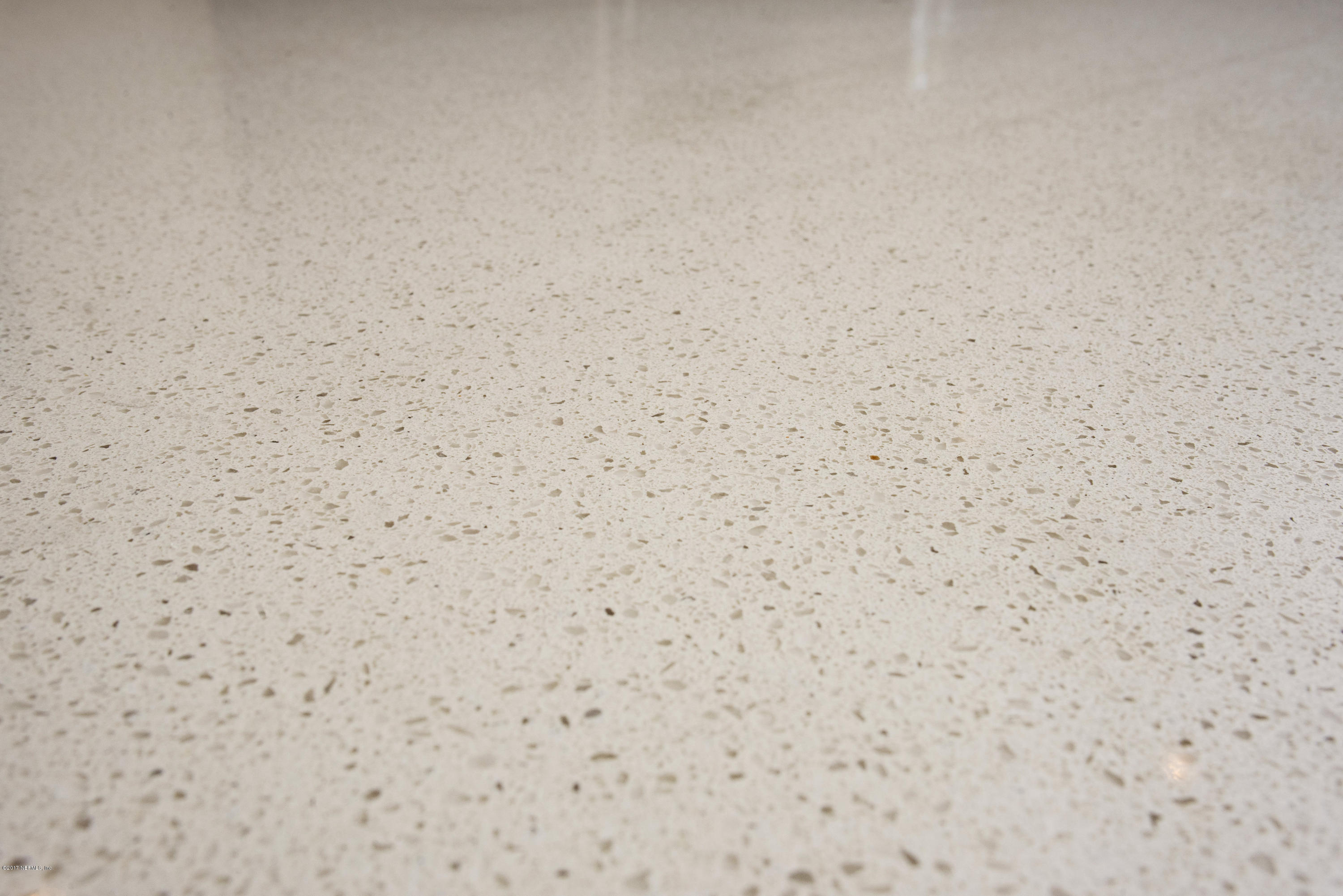 3447 Dorothea Road Jacksonville, FL 32216 - Photo 8 of 26 KITCHEN COUNTER TOP